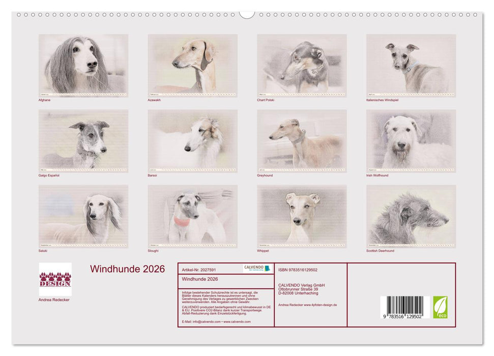 Windhunde 2026 (CALVENDO Premium Wandkalender 2026)
