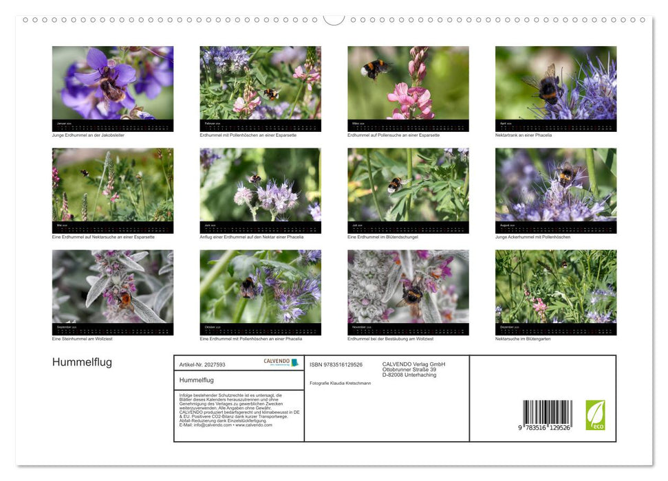 Hummelflug (CALVENDO Premium Wandkalender 2026)
