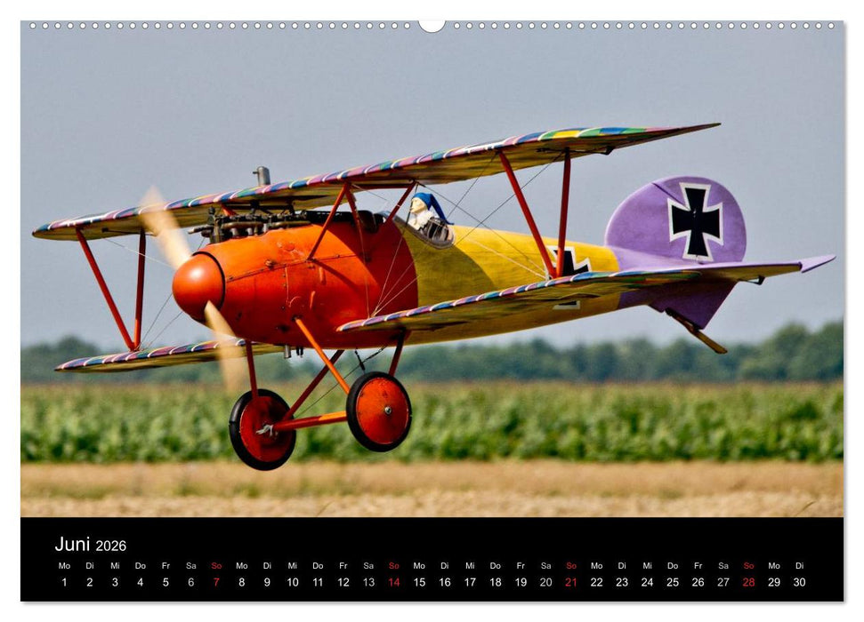 Dies und das vom Modellflugplatz (CALVENDO Premium Wandkalender 2026)