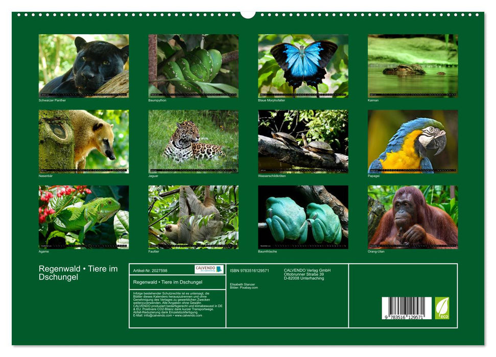 Regenwald • Tiere im Dschungel (CALVENDO Premium Wandkalender 2026)