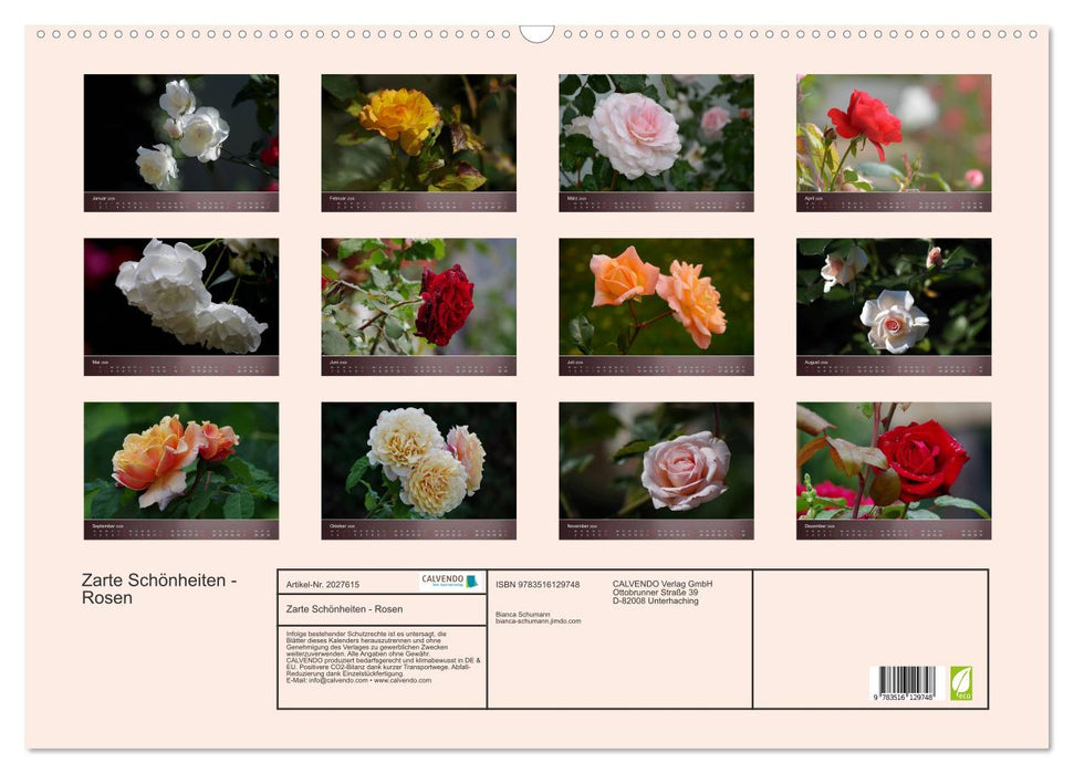 Zarte Schönheiten - Rosen (CALVENDO Wandkalender 2026)