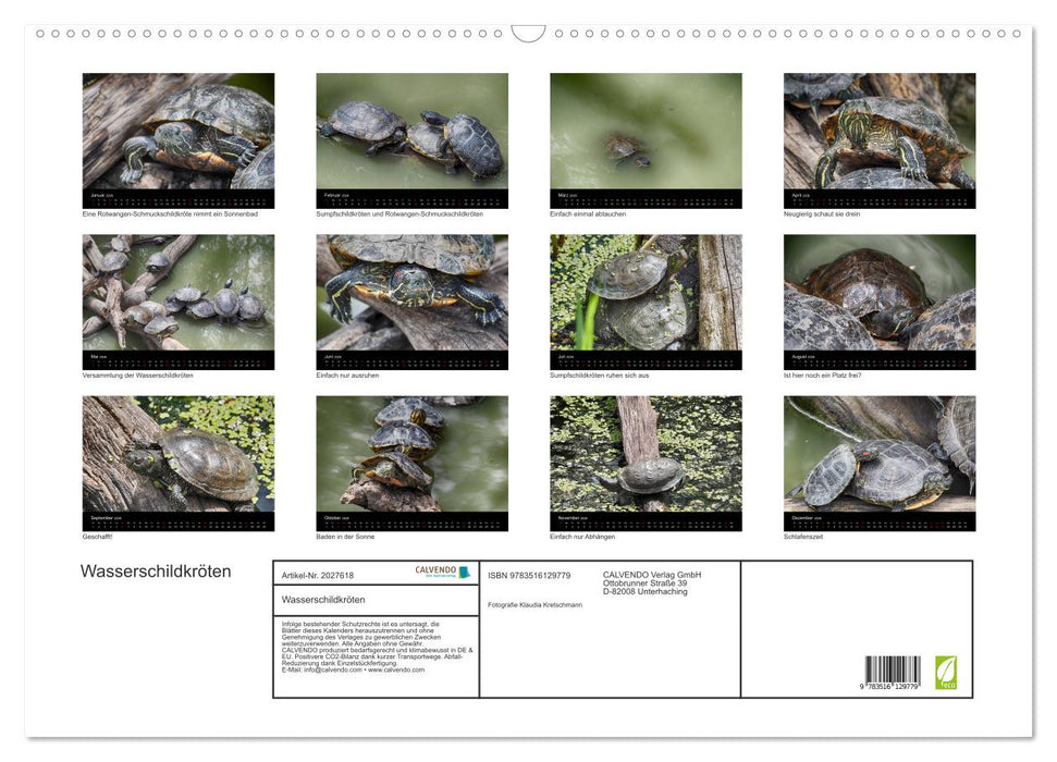 Wasserschildkröten (CALVENDO Wandkalender 2026)