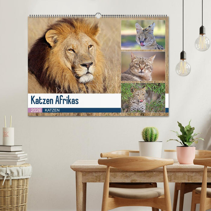 Katzen Afrikas (CALVENDO Wandkalender 2026)