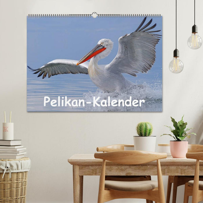 Pelikan-Kalender (CALVENDO Wandkalender 2026)