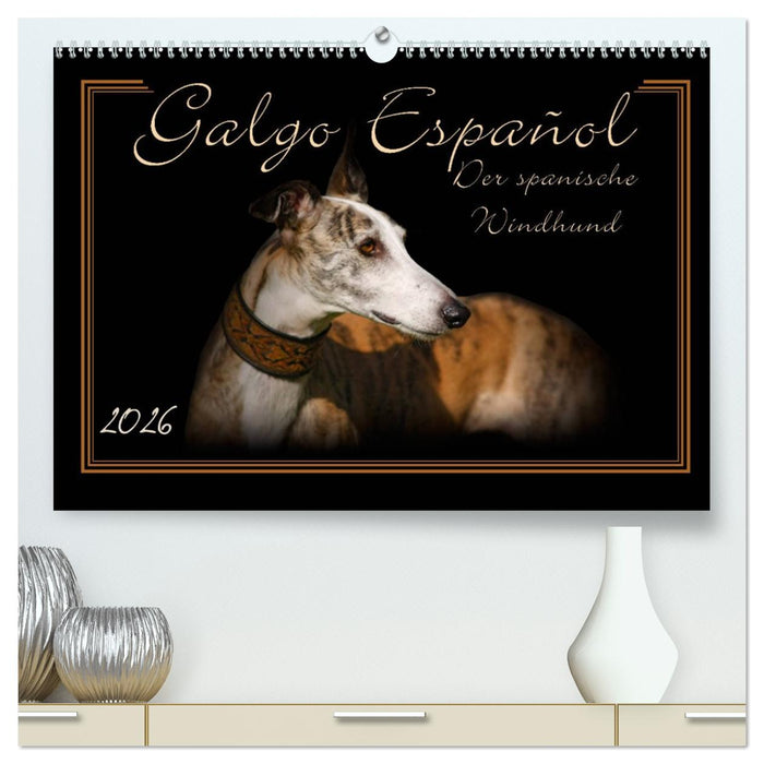 Galgo Español 2026- Der spanische Windhund (CALVENDO Premium Wandkalender 2026)