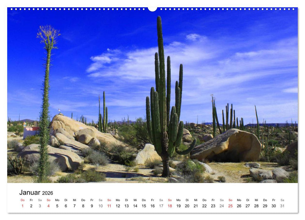 Highlights einer Weltreise (CALVENDO Premium Wandkalender 2026)