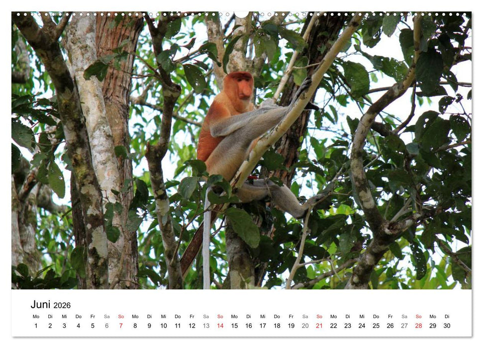 Highlights einer Weltreise (CALVENDO Premium Wandkalender 2026)