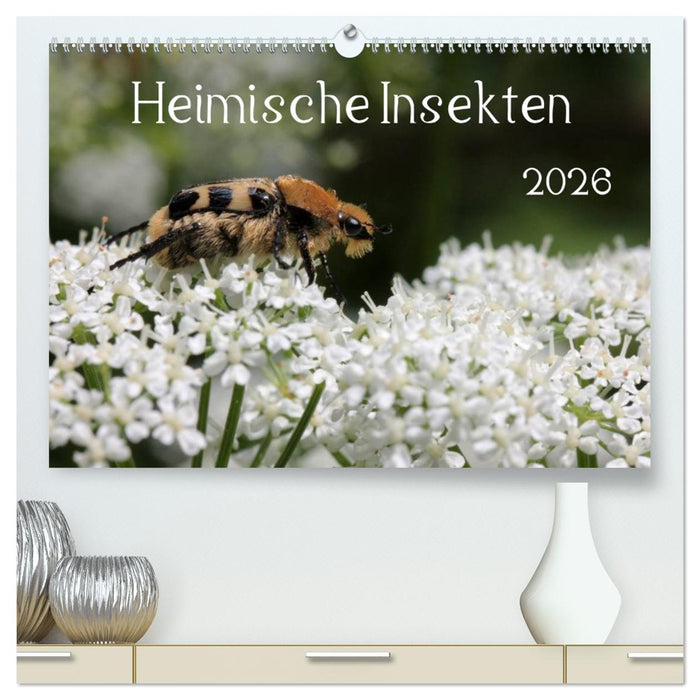 Heimische Insekten 2026 (CALVENDO Premium Wandkalender 2026)