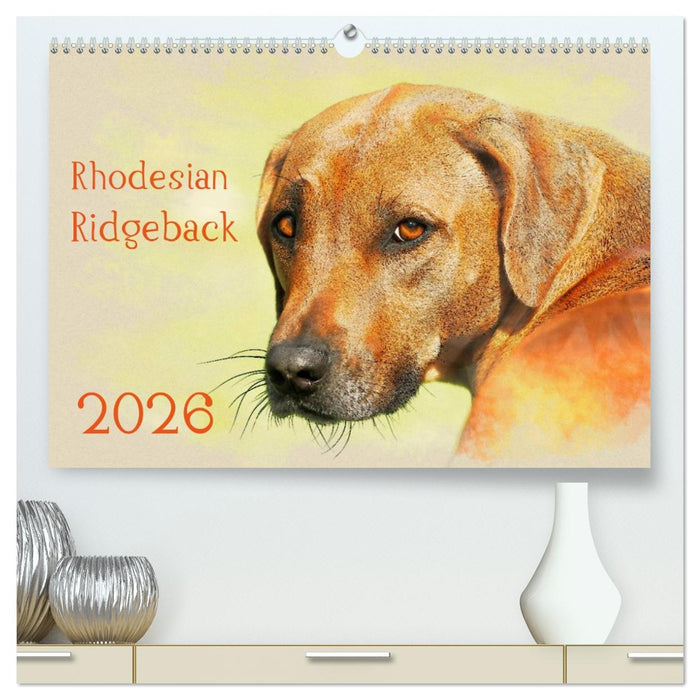 Rhodesian Ridgeback 2026 (CALVENDO Premium Wandkalender 2026)