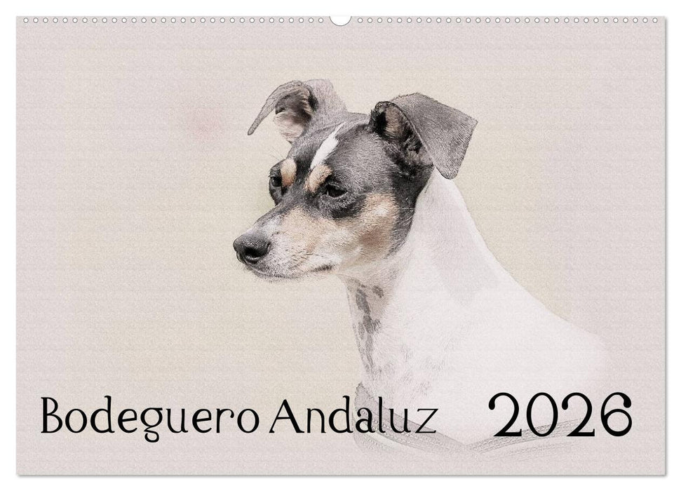 Bodeguero Andaluz 2026 (CALVENDO Wandkalender 2026)