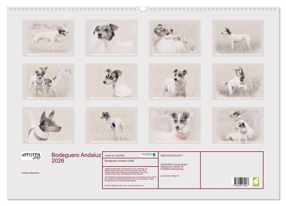 Bodeguero Andaluz 2026 (CALVENDO Wandkalender 2026)
