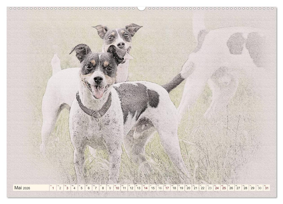 Bodeguero Andaluz 2026 (CALVENDO Wandkalender 2026)