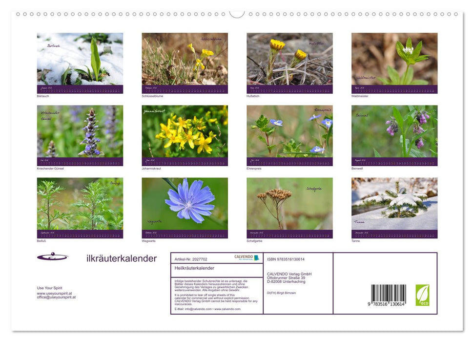 Heilkräuterkalender (CALVENDO Premium Wandkalender 2026)