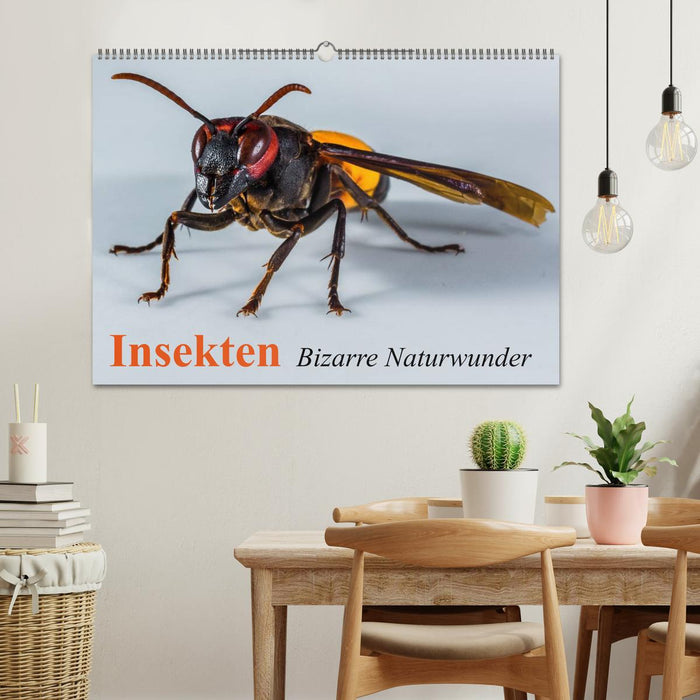 Insekten • Bizarre Naturwunder (CALVENDO Wandkalender 2026)