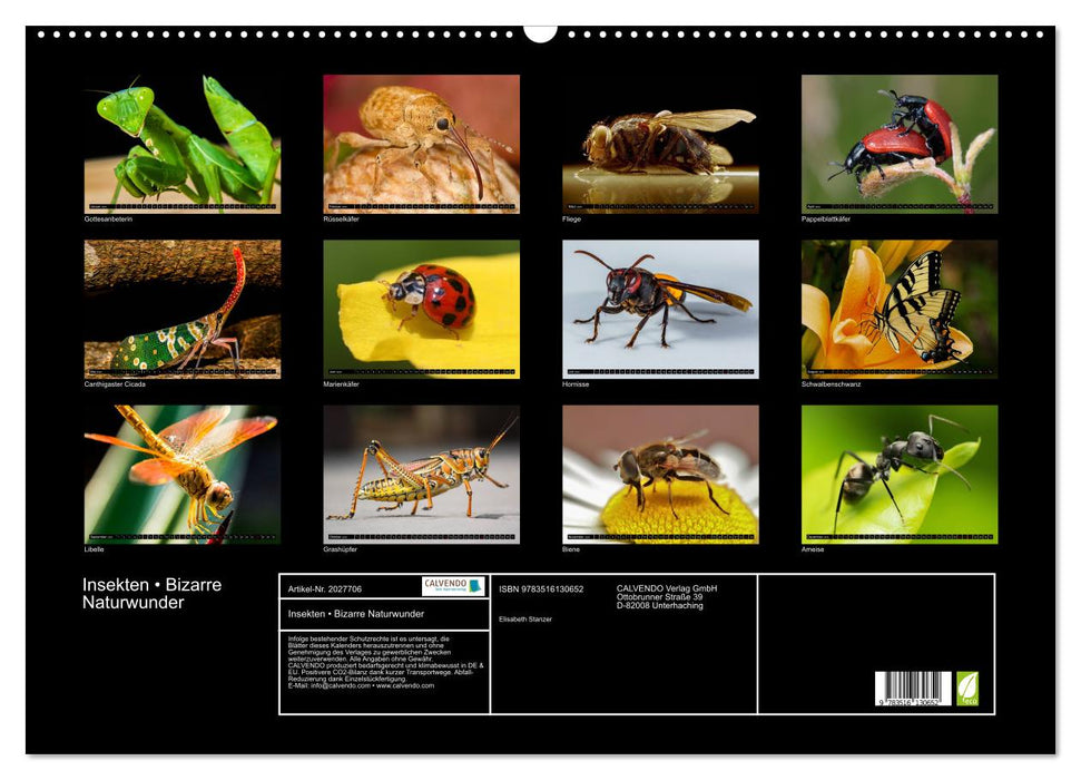 Insekten • Bizarre Naturwunder (CALVENDO Wandkalender 2026)