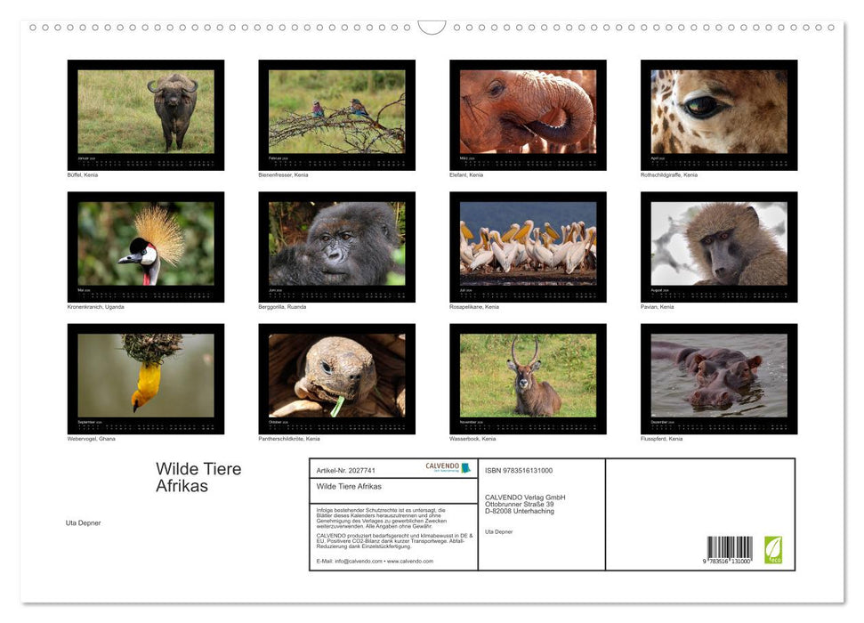 Wilde Tiere Afrikas (CALVENDO Wandkalender 2026)