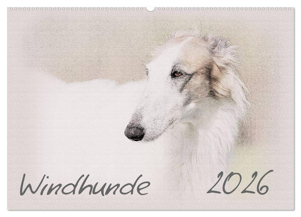Windhunde 2026 (CALVENDO Wandkalender 2026)