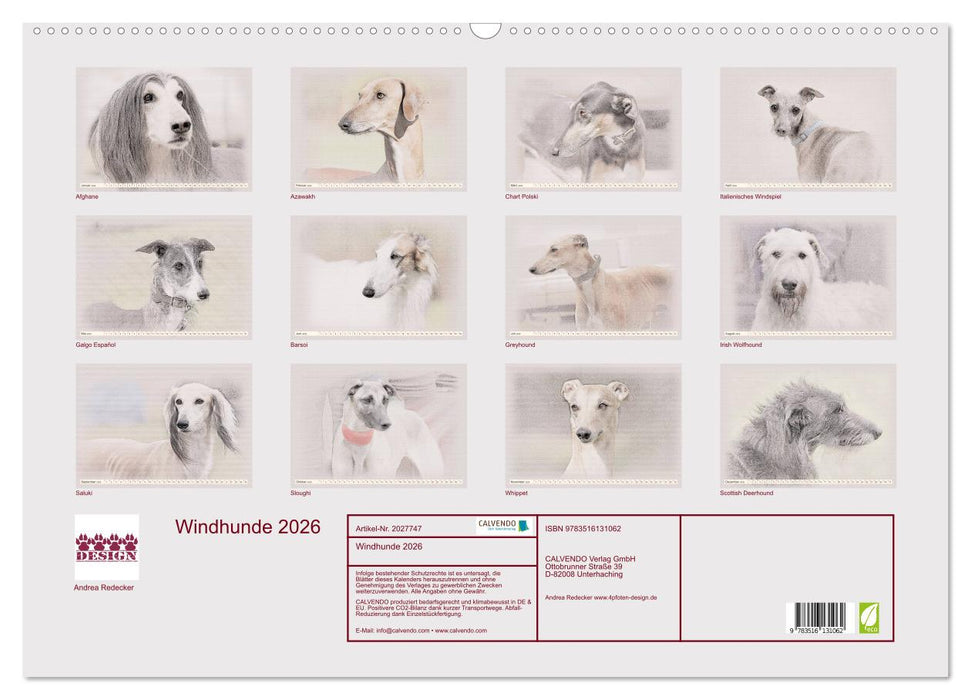 Windhunde 2026 (CALVENDO Wandkalender 2026)