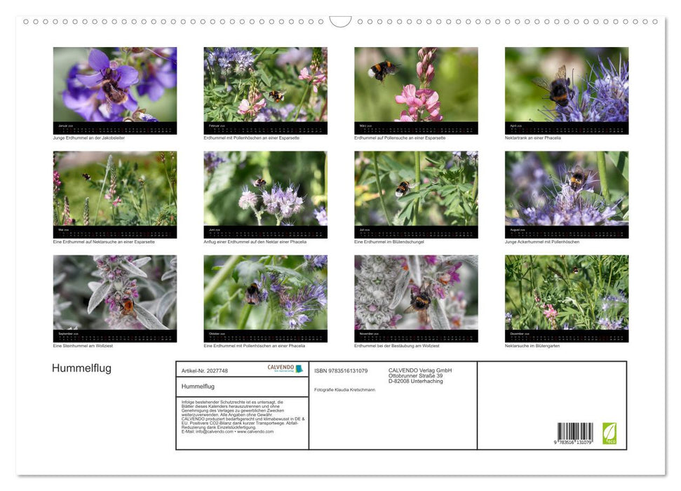 Hummelflug (CALVENDO Wandkalender 2026)