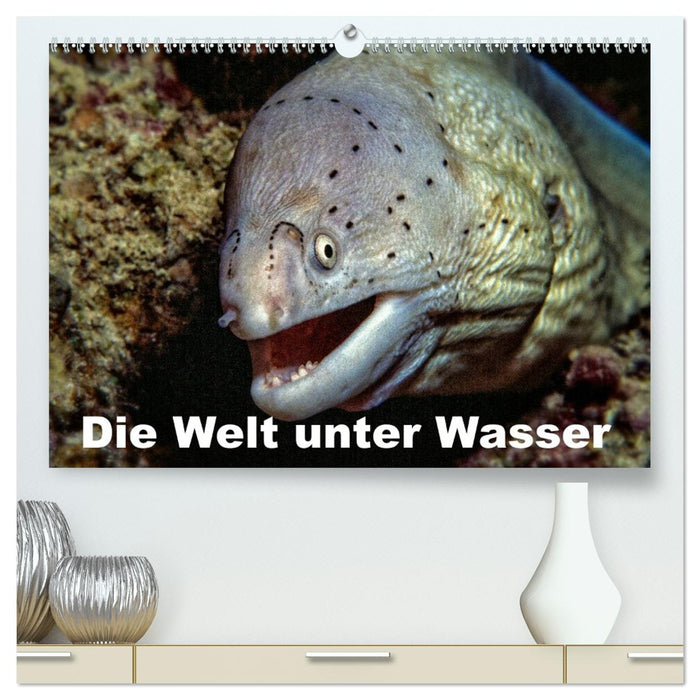 Die Welt unter Wasser (CALVENDO Premium Wandkalender 2026)