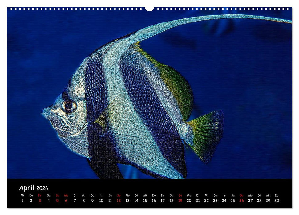 Die Welt unter Wasser (CALVENDO Premium Wandkalender 2026)