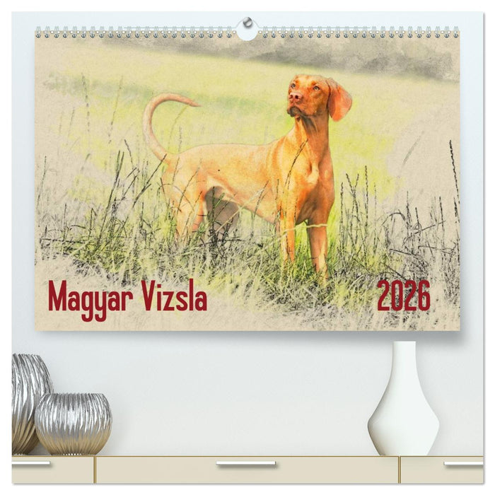 Magyar Vizsla 2026 (CALVENDO Premium Wandkalender 2026)