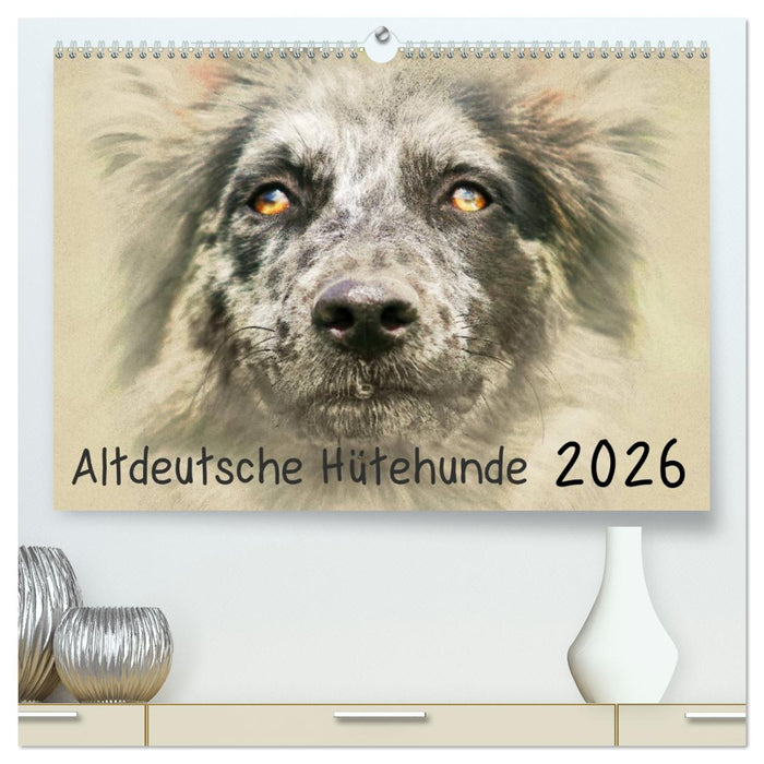 Altdeutsche Hütehunde 2026 (CALVENDO Premium Wandkalender 2026)
