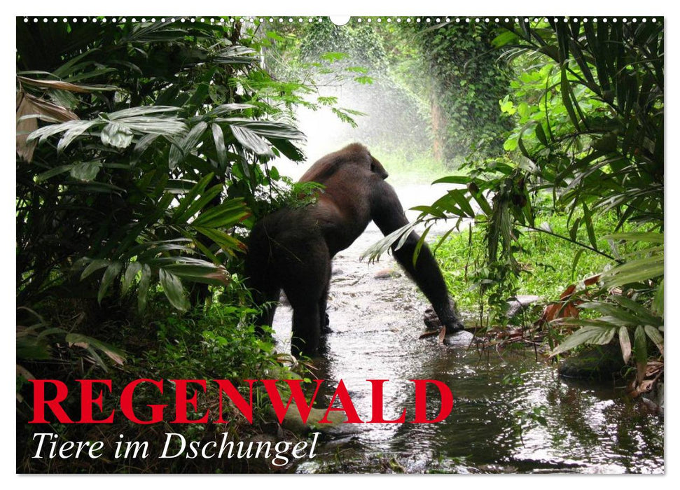 Regenwald • Tiere im Dschungel (CALVENDO Wandkalender 2026)