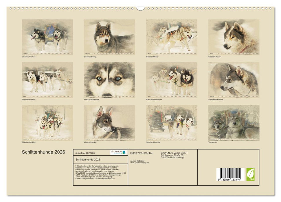 Schlittenhunde 2026 (CALVENDO Premium Wandkalender 2026)