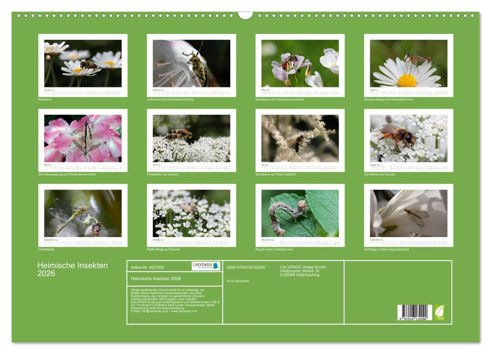 Heimische Insekten 2026 (CALVENDO Wandkalender 2026)