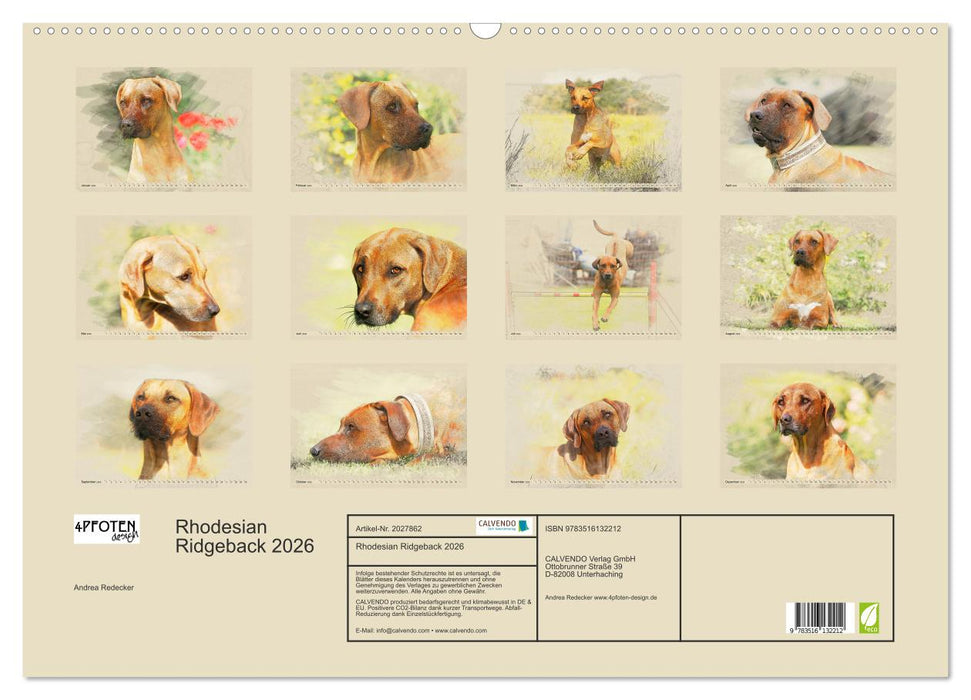 Rhodesian Ridgeback 2026 (CALVENDO Wandkalender 2026)