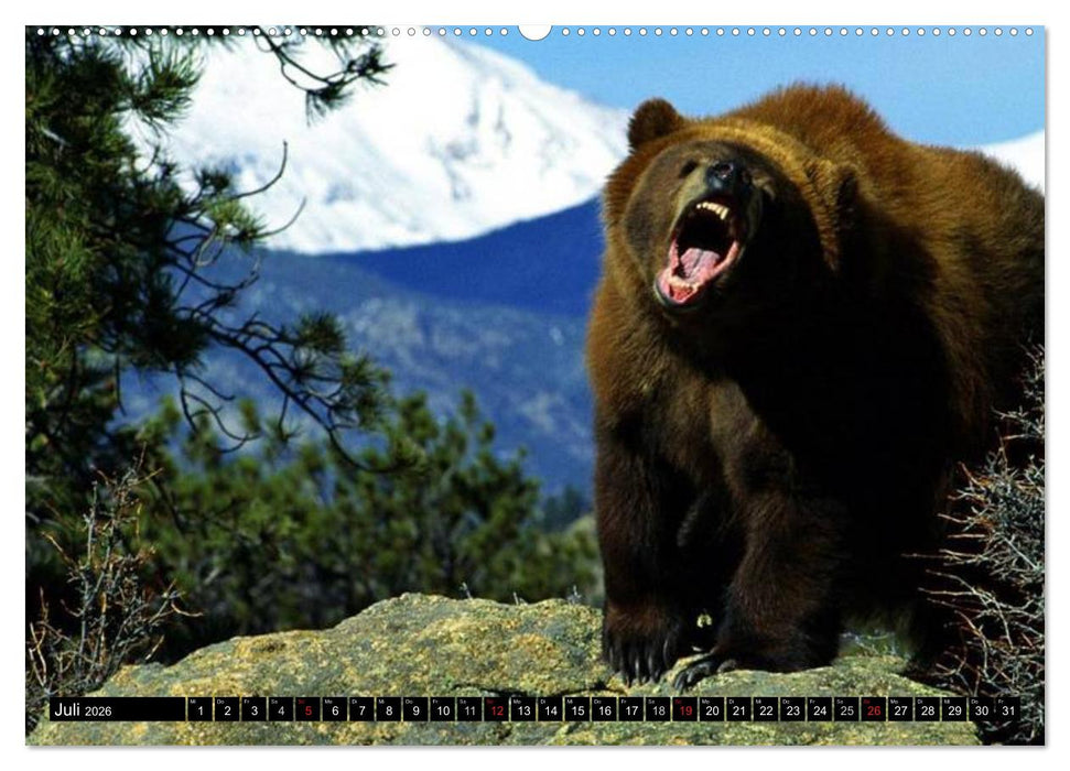 Kanada - Das Paradies für Entdecker (CALVENDO Premium Wandkalender 2026)