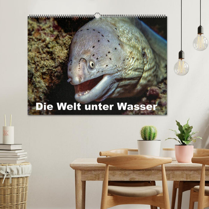Die Welt unter Wasser (CALVENDO Wandkalender 2026)