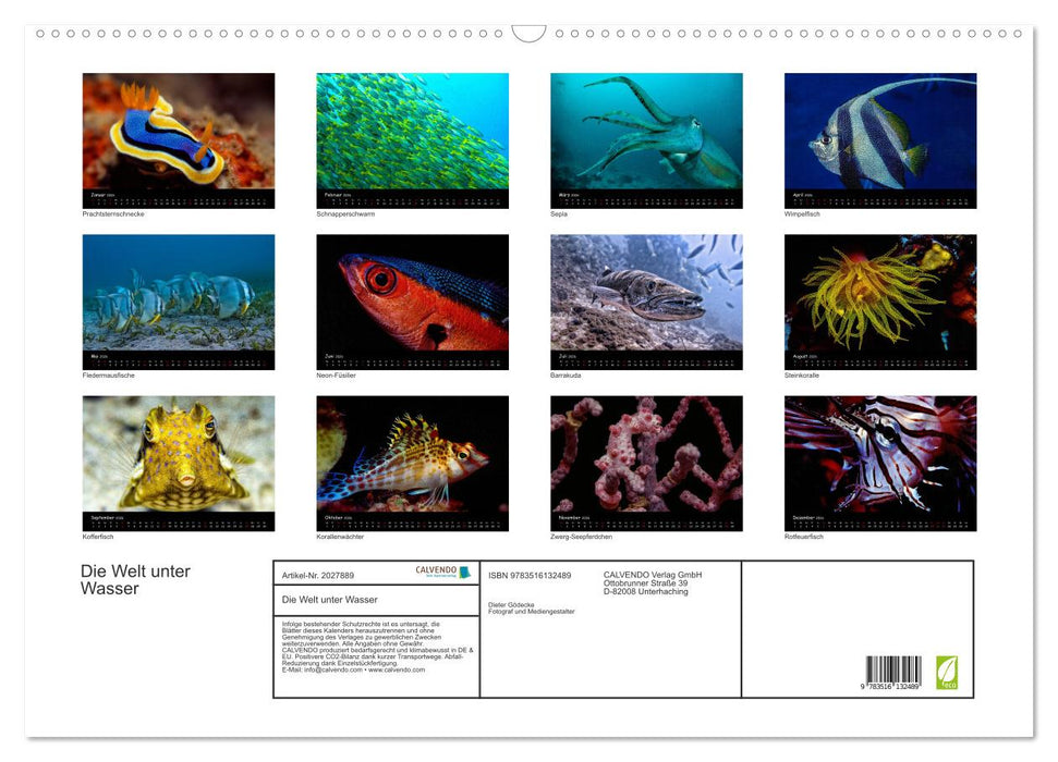 Die Welt unter Wasser (CALVENDO Wandkalender 2026)