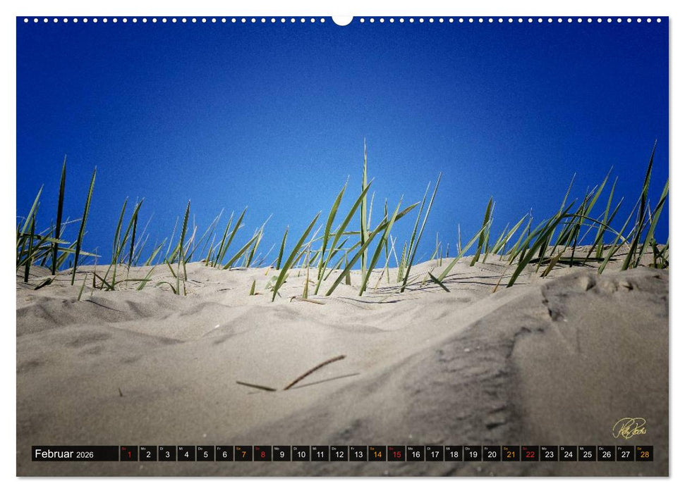 Nordsee-Dünen (CALVENDO Premium Wandkalender 2026)