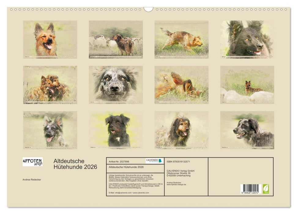 Altdeutsche Hütehunde 2026 (CALVENDO Wandkalender 2026)