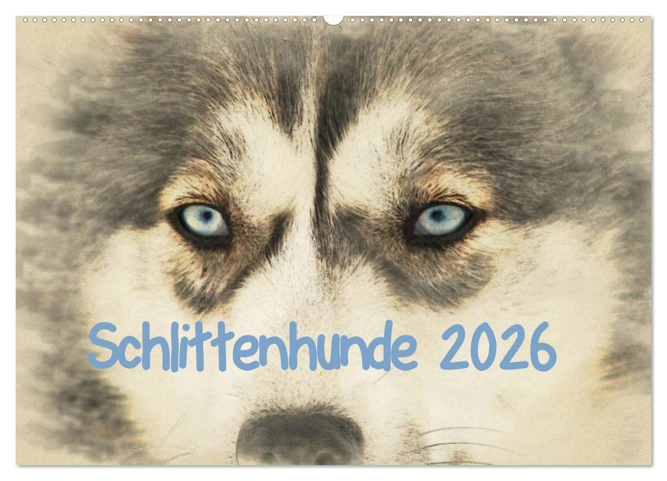 Schlittenhunde 2026 (CALVENDO Wandkalender 2026)