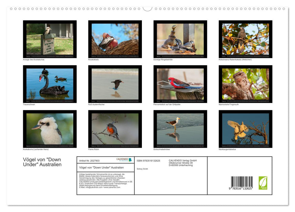 Vögel von "Down Under" Australien (CALVENDO Premium Wandkalender 2026)