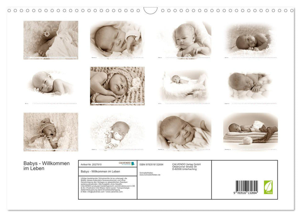 Babys - Willkommen im Leben (CALVENDO Wandkalender 2026)