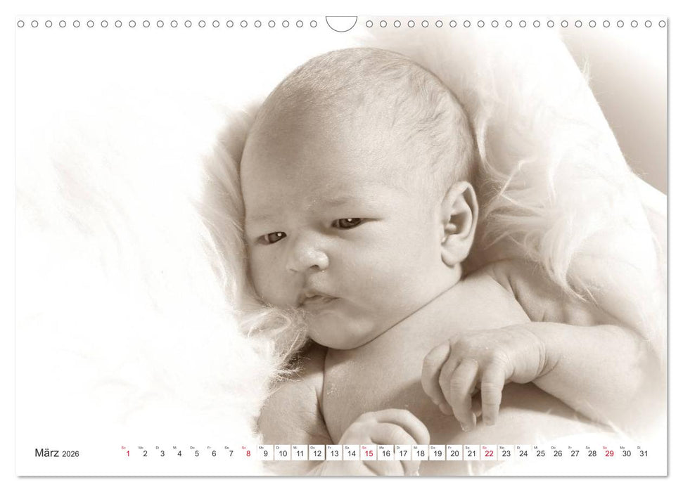 Babys - Willkommen im Leben (CALVENDO Wandkalender 2026)