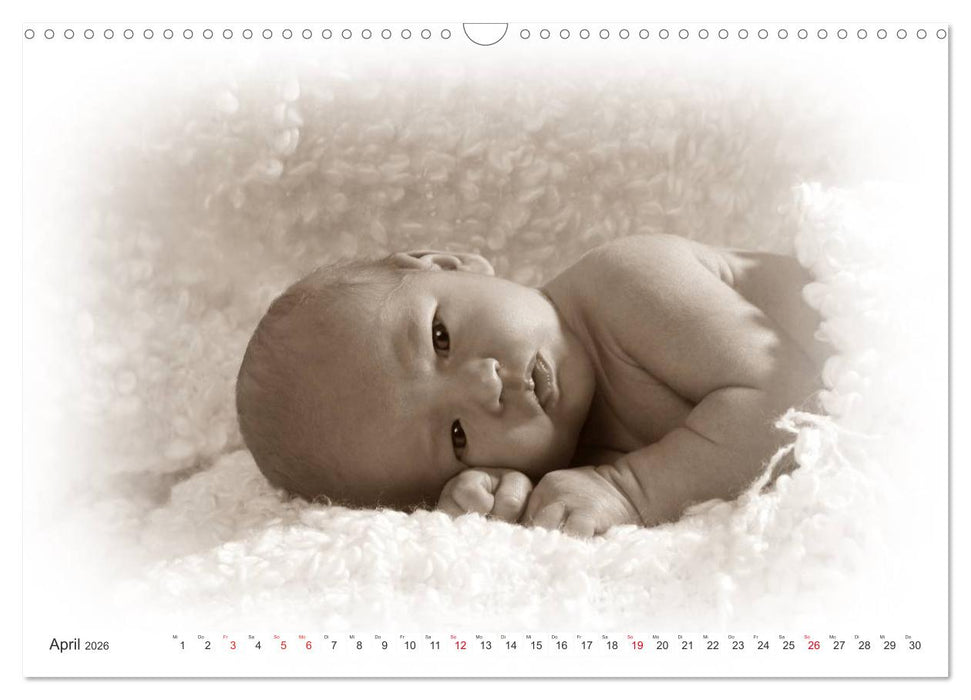 Babys - Willkommen im Leben (CALVENDO Wandkalender 2026)