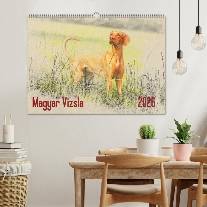 Magyar Vizsla 2026 (CALVENDO Wandkalender 2026)