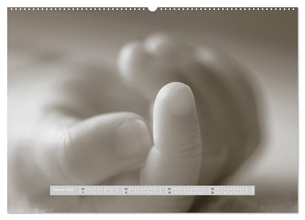 ...so winzig - Babykalender (CALVENDO Premium Wandkalender 2026)