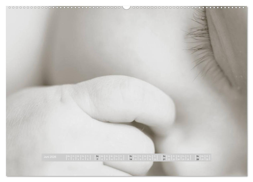 ...so winzig - Babykalender (CALVENDO Premium Wandkalender 2026)