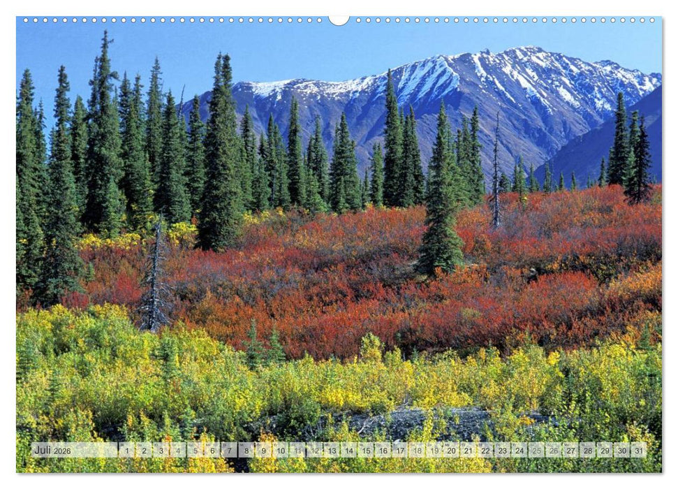 Wildes Alaska Christian Heeb (CALVENDO Premium Wandkalender 2026)