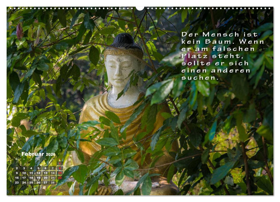 BUDDHAS WEISHEITEN - Balsam für die Seele (CALVENDO Premium Wandkalender 2026)