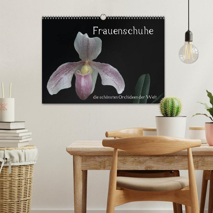 Frauenschuhe - die schönsten Orchideen der Welt (CALVENDO Wandkalender 2026)