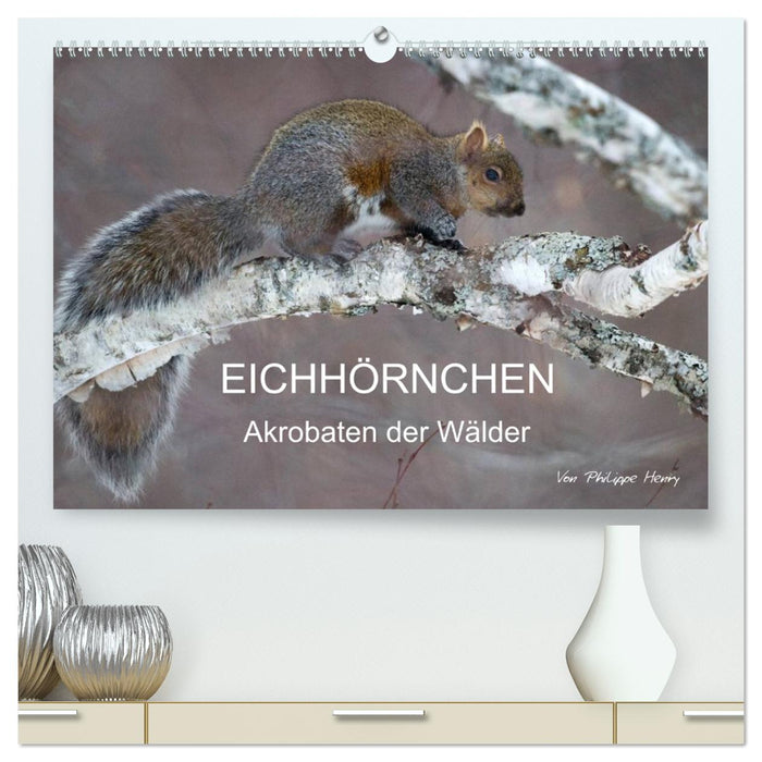 EICHHÖRNCHEN (CALVENDO Premium Wandkalender 2026)