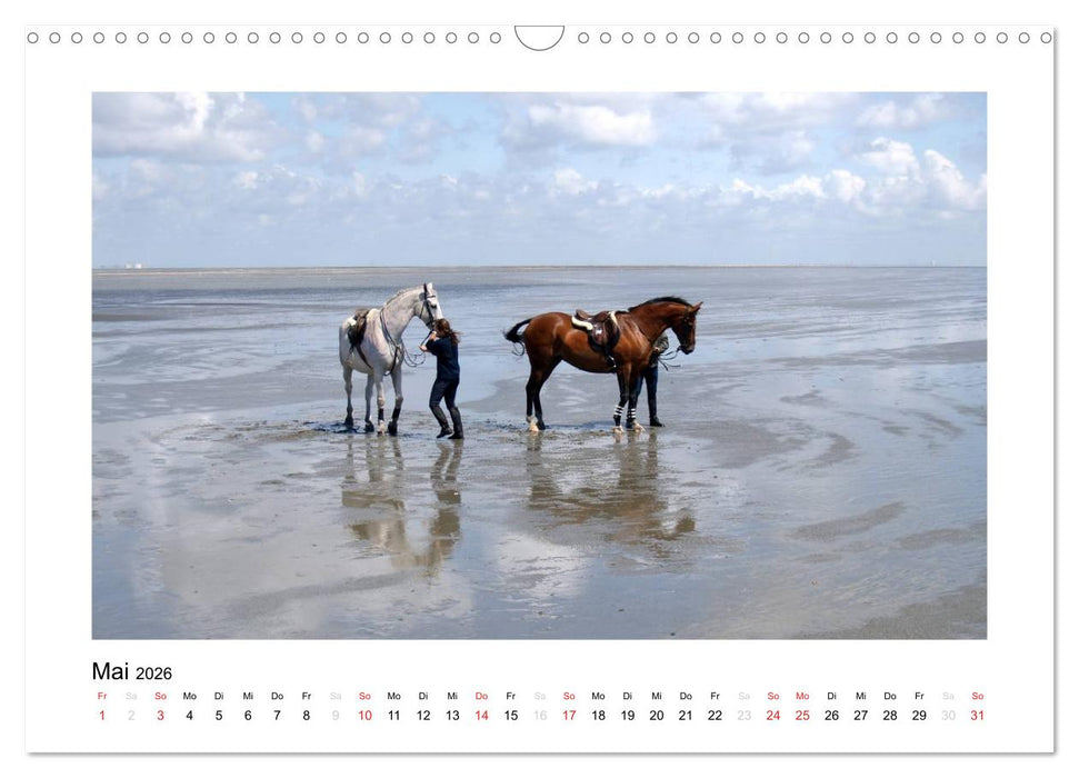 Die schöne Insel Neuwerk (CALVENDO Wandkalender 2026)