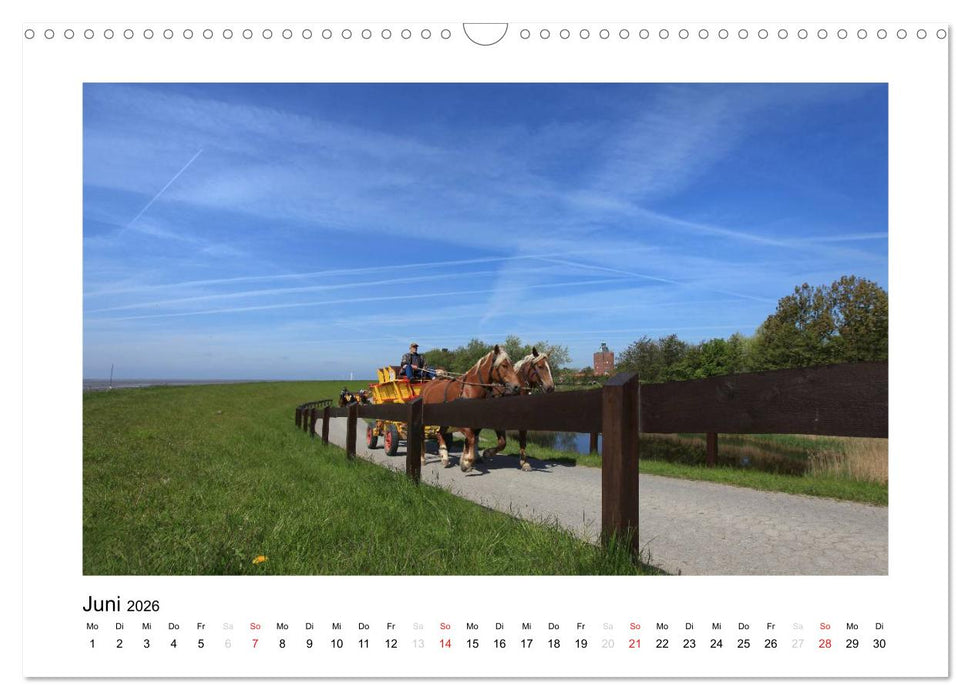 Die schöne Insel Neuwerk (CALVENDO Wandkalender 2026)